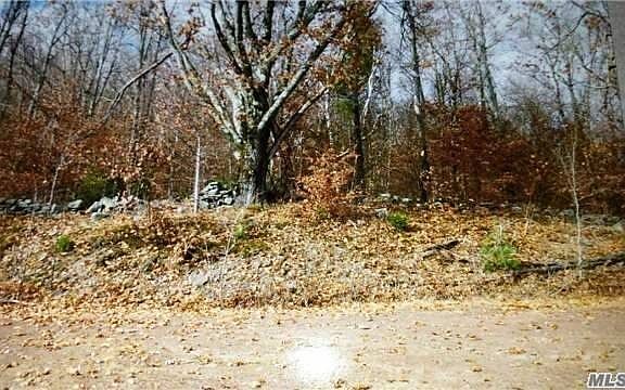 3rd image of 102 Julia Ln