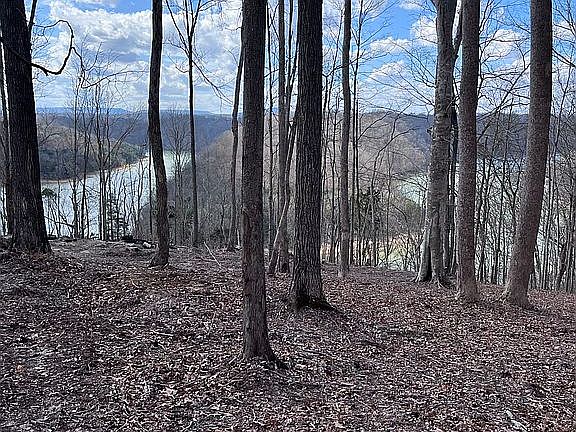 2nd image of Rindler Rdg