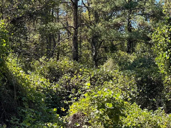 963 Arlington Rd, Pine Hill, AL 36769