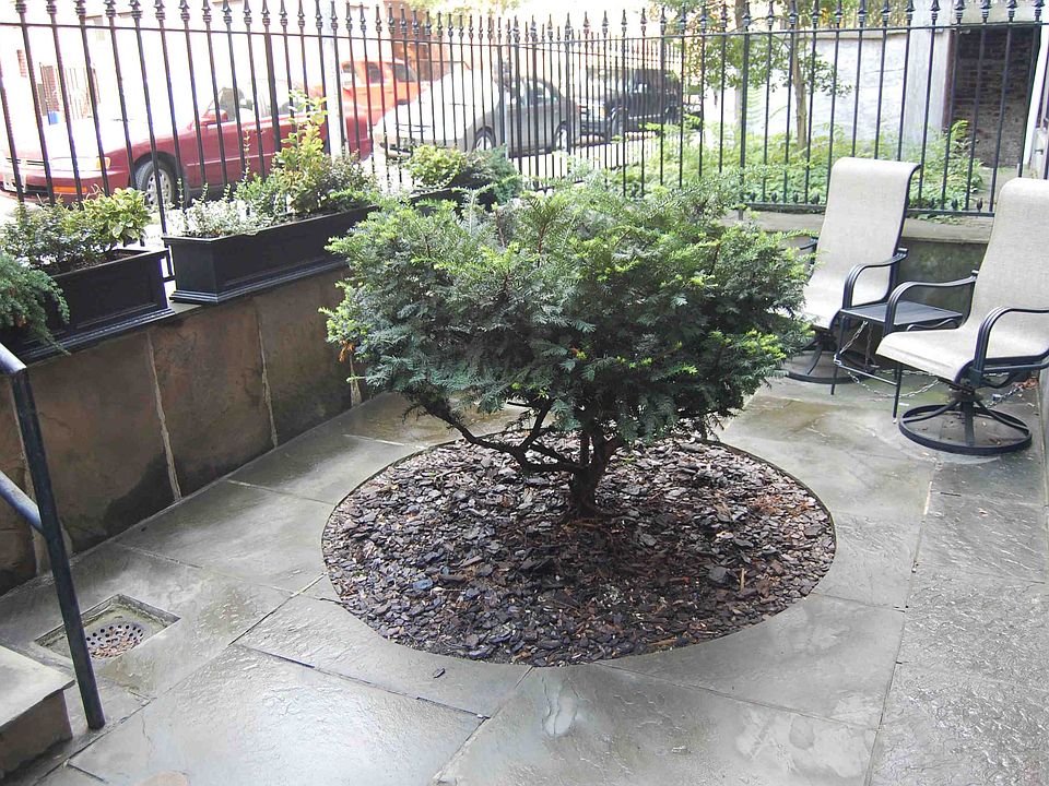 2nd image of 828 Mountain Branch Dr