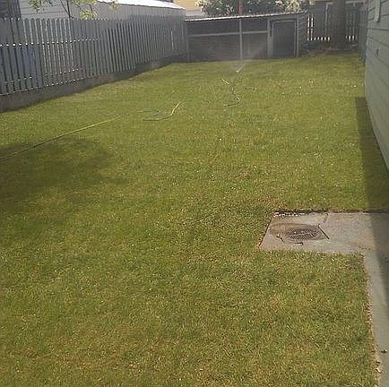 Back yard with dog run