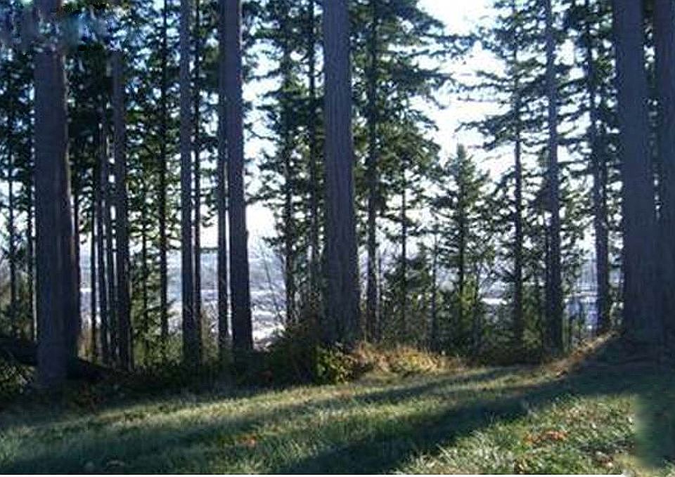 1st image of 12 Forest Hill Est