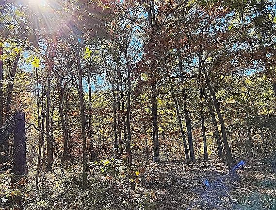 3rd image of 30134 S 595th Rd