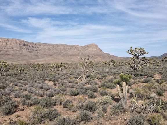 4th image of 318-09-410 Lake Mead City #29-29-16