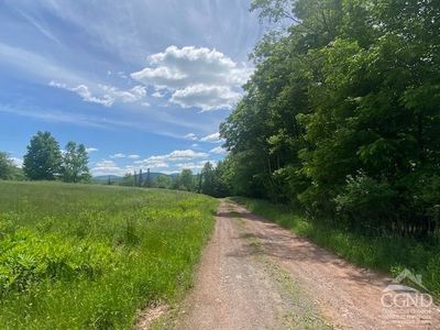 0 Hayden Road, Windham, NY, 12496