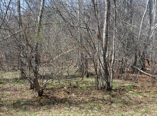 927-943 Briscoe Road, Swan Lake, NY 12783