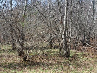 927-943 Briscoe Road, Swan Lake, NY, 12783