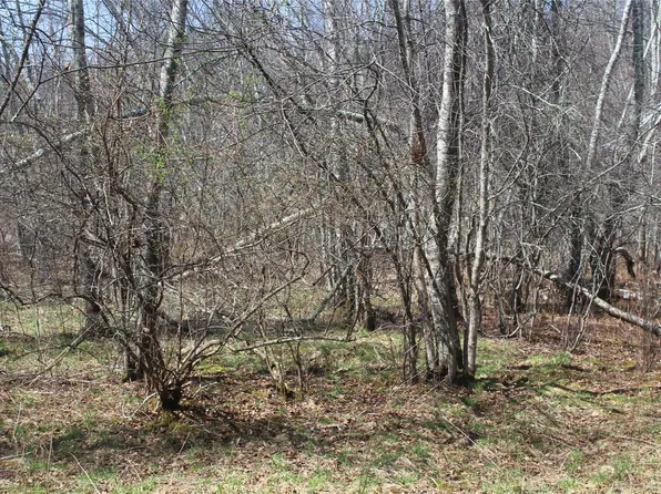 927-943 Briscoe Road, Swan Lake, NY 12783