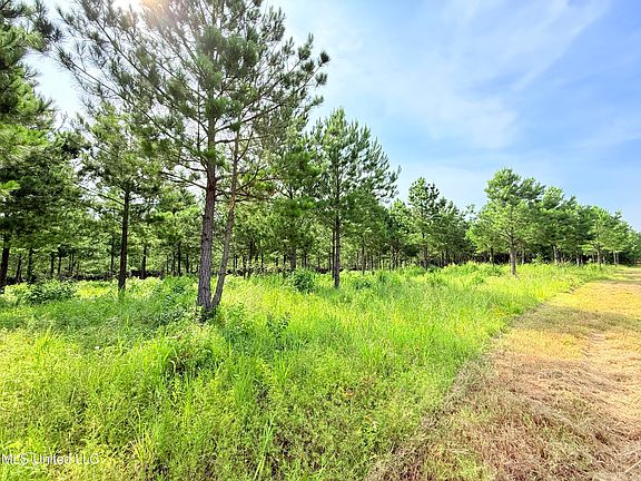 2nd image of Stout Farms Dr Lot 67