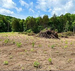14083 Springdale Rd, De Soto, MO, 63020
