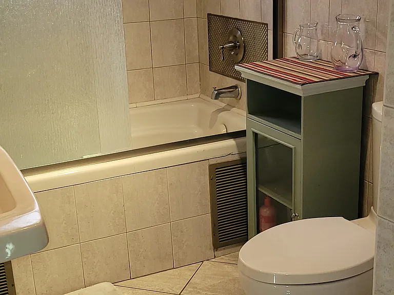 En-suite shower and comfort height toilet