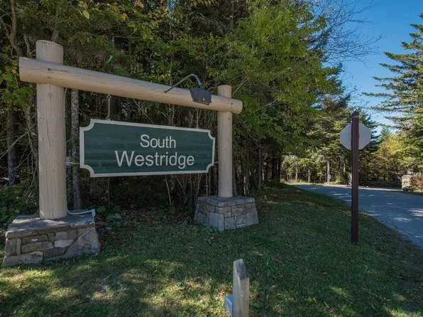84 S West Ridge Rd, Snowshoe, WV 26209
