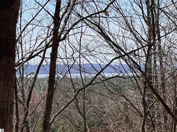 0 S Maple Valley Rd, Suttons Bay, MI 49682