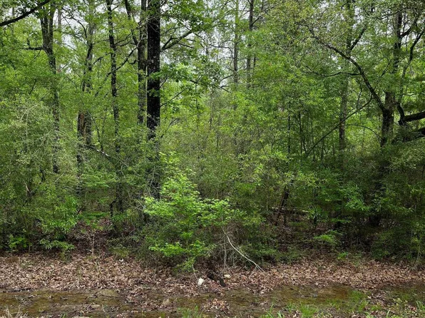 TRACT 2 Pride Baywood Rd, Pride, LA 70770