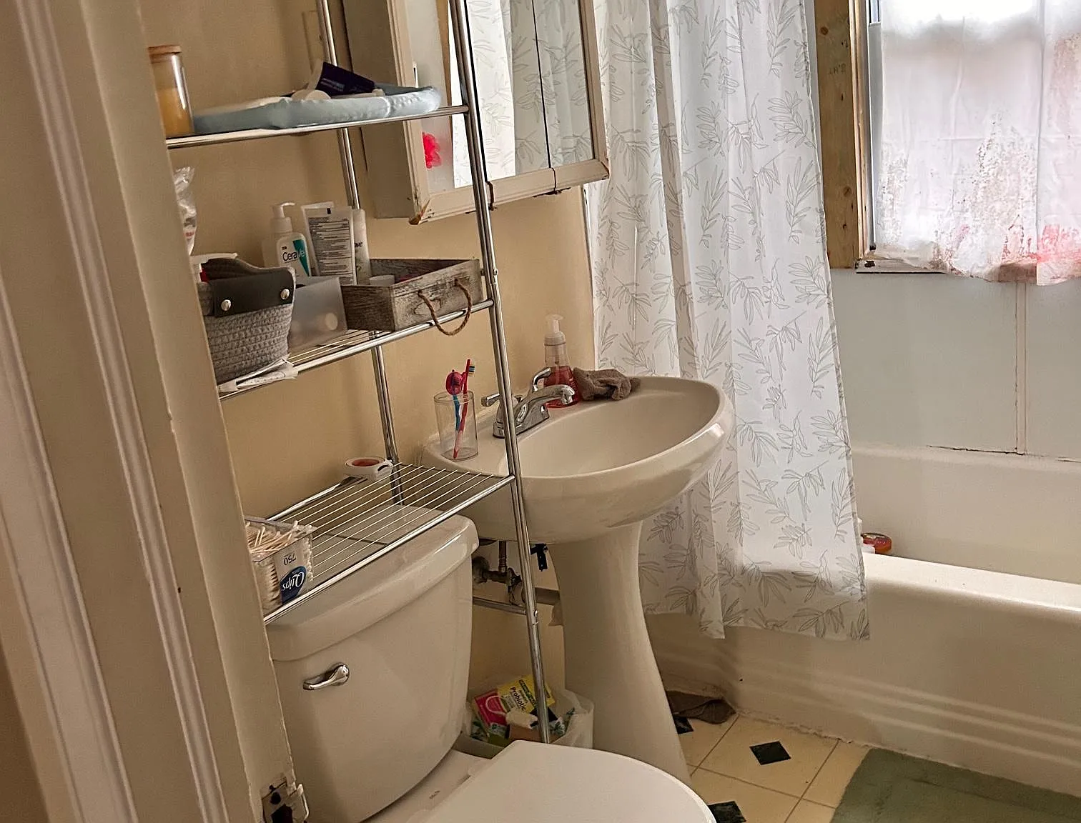 2 bed, $1,000 — Photo 4