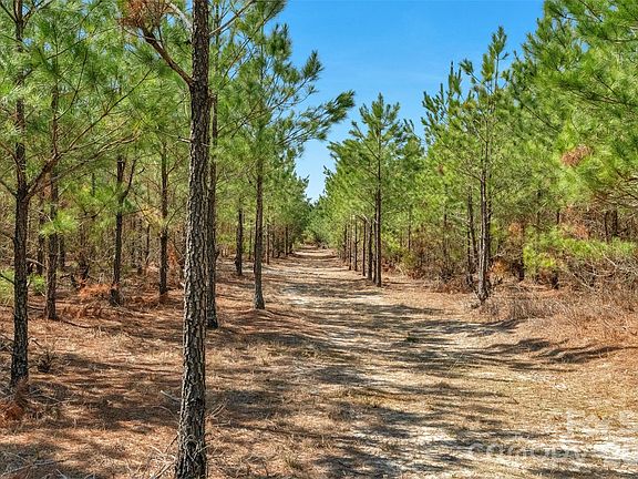 5th image of 931 Charlie Johnson Rd #5