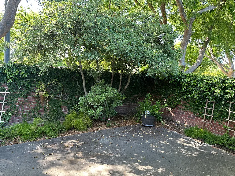 Claremont Gardens — Photo 19