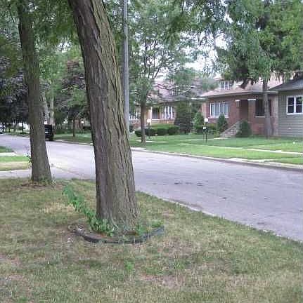 4th image of 1217 S 18th Ave