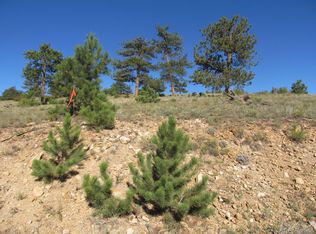LOT 5082 Arikara Trl LOT 5082, Hartsel, CO 80449
