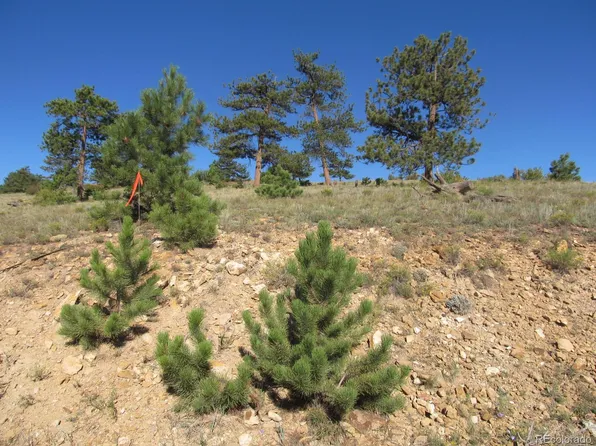 Lot 5082 Arikara Trail LOT 5082, Hartsel, CO 80449