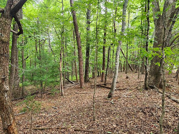 2nd image of 1 Truman Hill Rd
