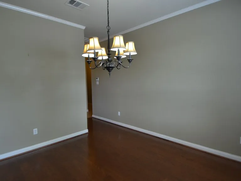 4534 Wandering Vine Trl — Photo 7