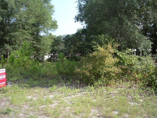 2nd image of 614 Dogwood Dr