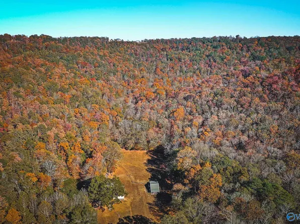 Shenault Holw, Grant, AL 35747