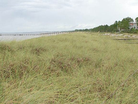 4th image of 185 Windmark Way