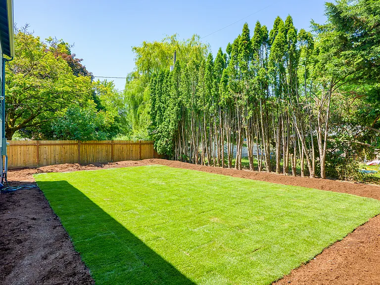 Flat backyard