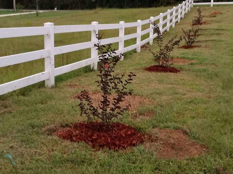 Planted trees along fence 