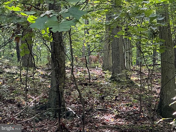 3rd image of 2091 Welsh Rd