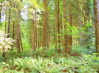 51 Xx Galbraith Rd, Deming, WA 98244