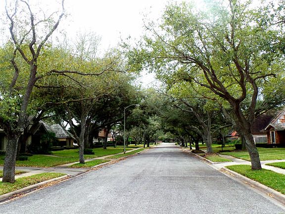 5th image of 17 Camden Pl