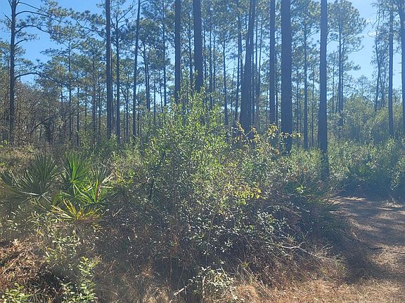 3rd image of 0 Smith Creek Rd