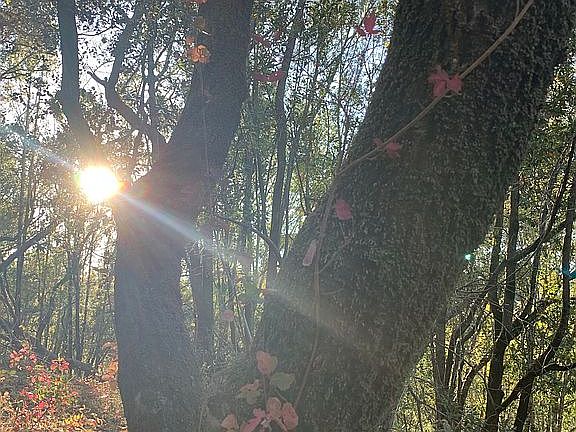 Indian Valley is perfec