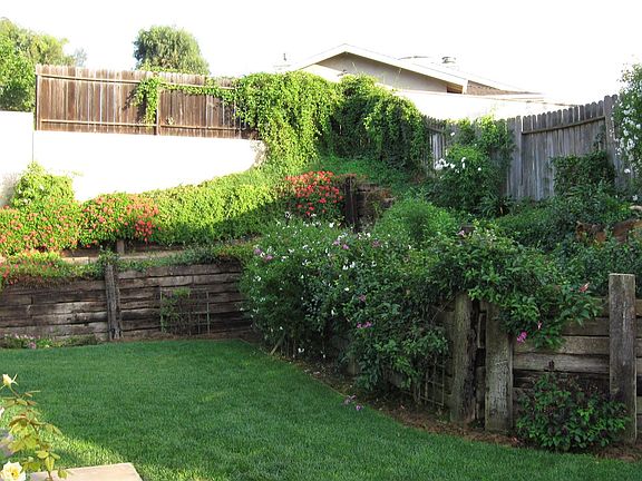 Back- facing no. east