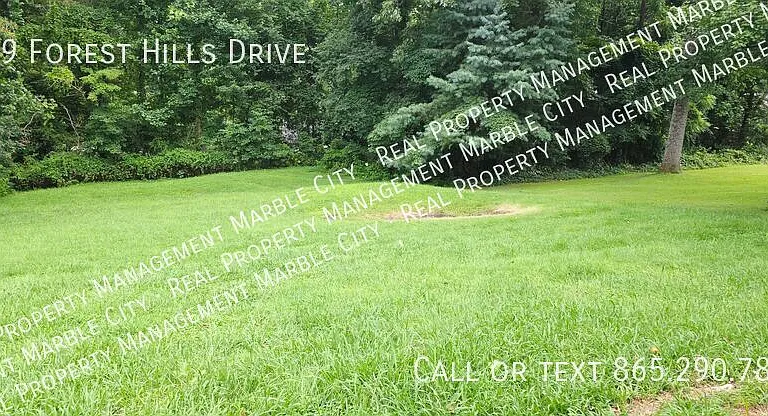 419 Forest Hills Dr — Photo 6
