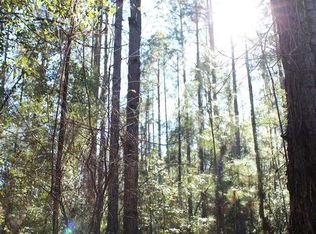 Vacant Ne Dixon Ct #0, Lee, FL 32059