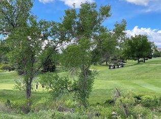 5 Tamerlain Ct, Highlands Ranch, CO 80130