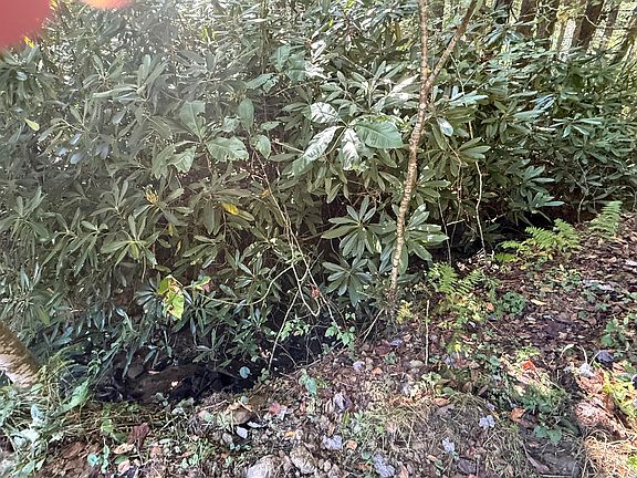 5th image of 324 Jerrry's Branch Rd