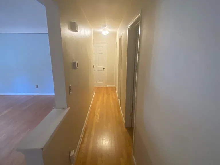 28137 Aline Dr — Photo 10