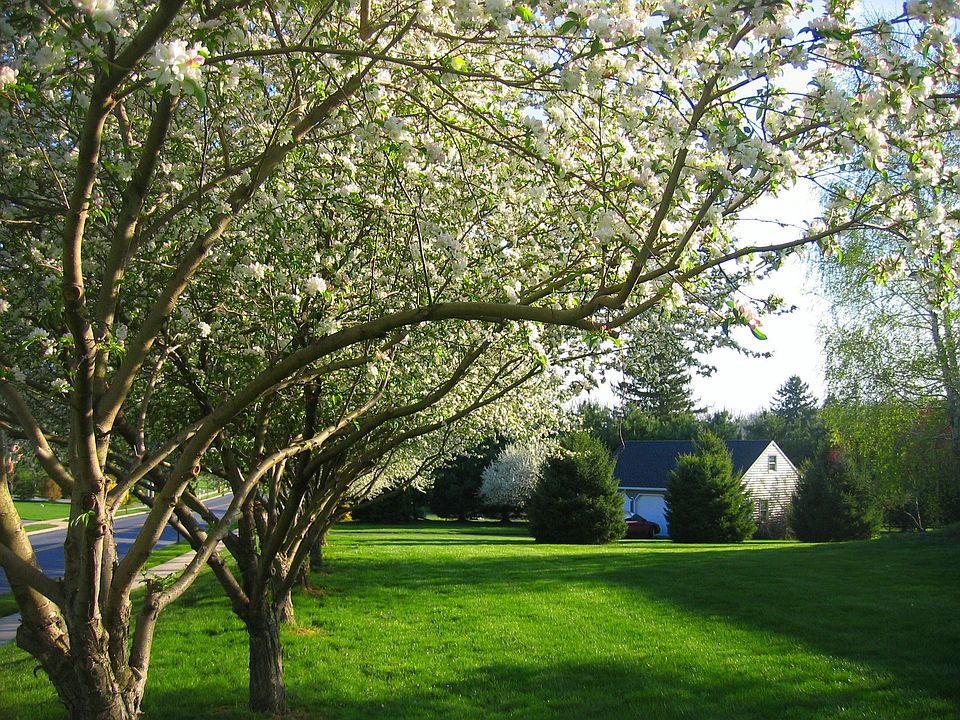 2nd image of 348 Blacksmith Rd