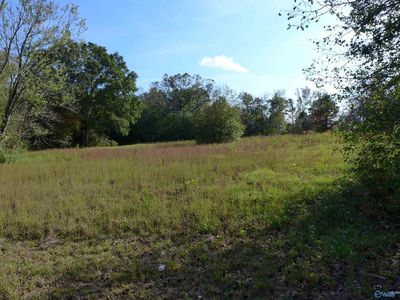 N Side Of Ave SW LOT 2, Arab, AL, 35016