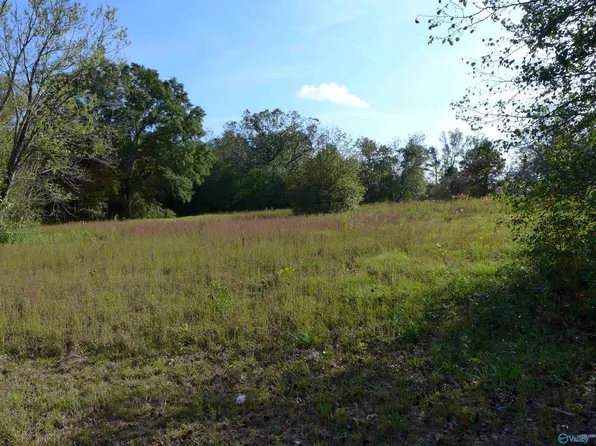 N Side Of Ave SW Lot 2, Arab, AL 35016