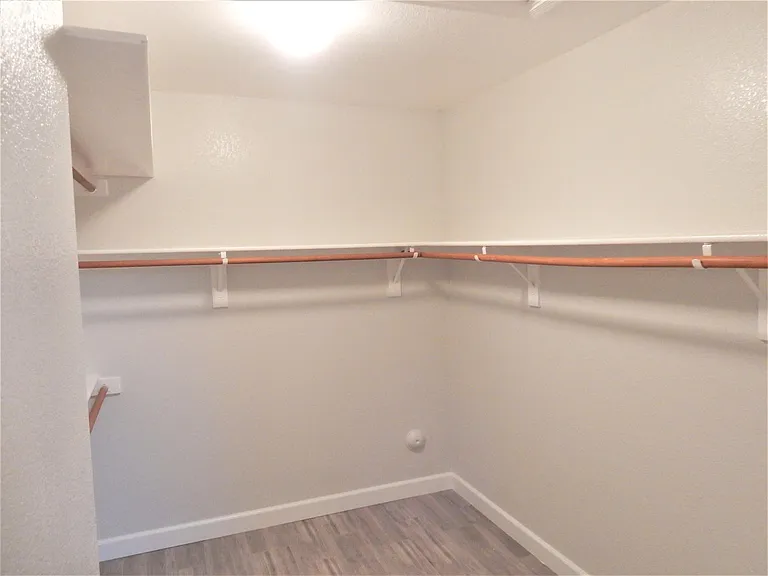 Master walk-in closet