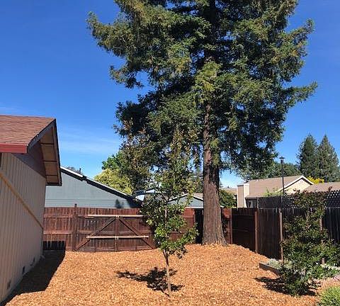 2nd image of 377 Monte Vista Ave