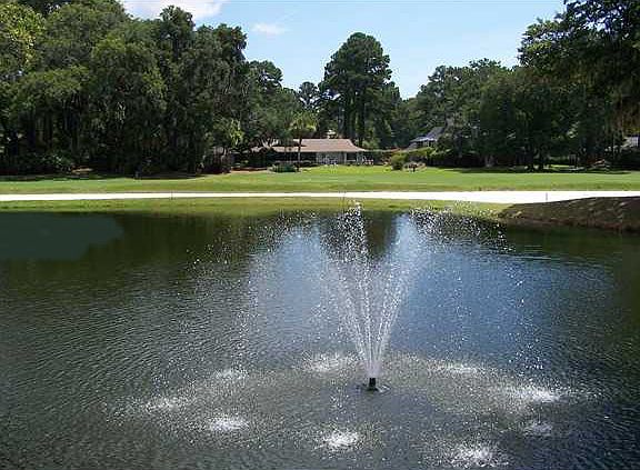5th image of 47 Plantation Dr #2439
