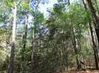 County Road 3160, Colmesneil, TX 75938