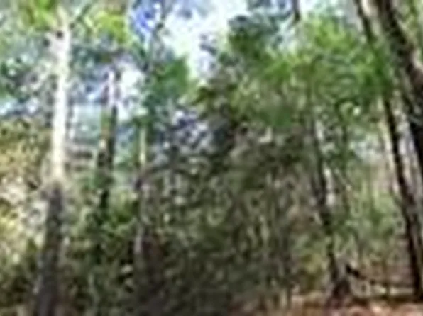 County Road 3160, Colmesneil, TX 75938